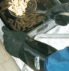 A Picture of product 972-557 THE FRYER GLOVE 14.