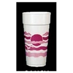 Foam Cup.  24 oz.  Horizon Design.  20 Cups/Sleeve.