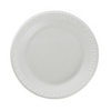 A Picture of product 241-224 Concorde® Non-Laminated Foam Plate.  10.25" Diameter.  White Color.  125 Plates/Sleeve.