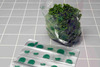 A Picture of product 320-206 Lettuce Bag 11 x 8.25 x 3.5. Clear, vented bag. PP 1 mil plain 11 X 8.25 with 3.5 bottom gusset.