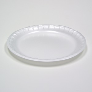 White Satinware Non-Laminated Dinner Plate. No compartments. 10.25".