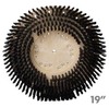 A Picture of product 966-597 TUFF-BLOCK® Floor Machine General Purpose 19"Nylon Showerfeed Scrubbing Brush with Unmounted Clutch Plate.