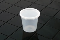 Delitainer Container and Lid Combo.  24 oz.  Clear Color.