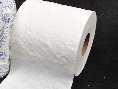 Rampant Reusing: Toilet Paper and Paper Towel Tubes