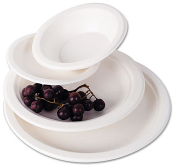 Eco-Products® Sugarcane Dinnerware, 10" Plate, Natural White, 500/Carton